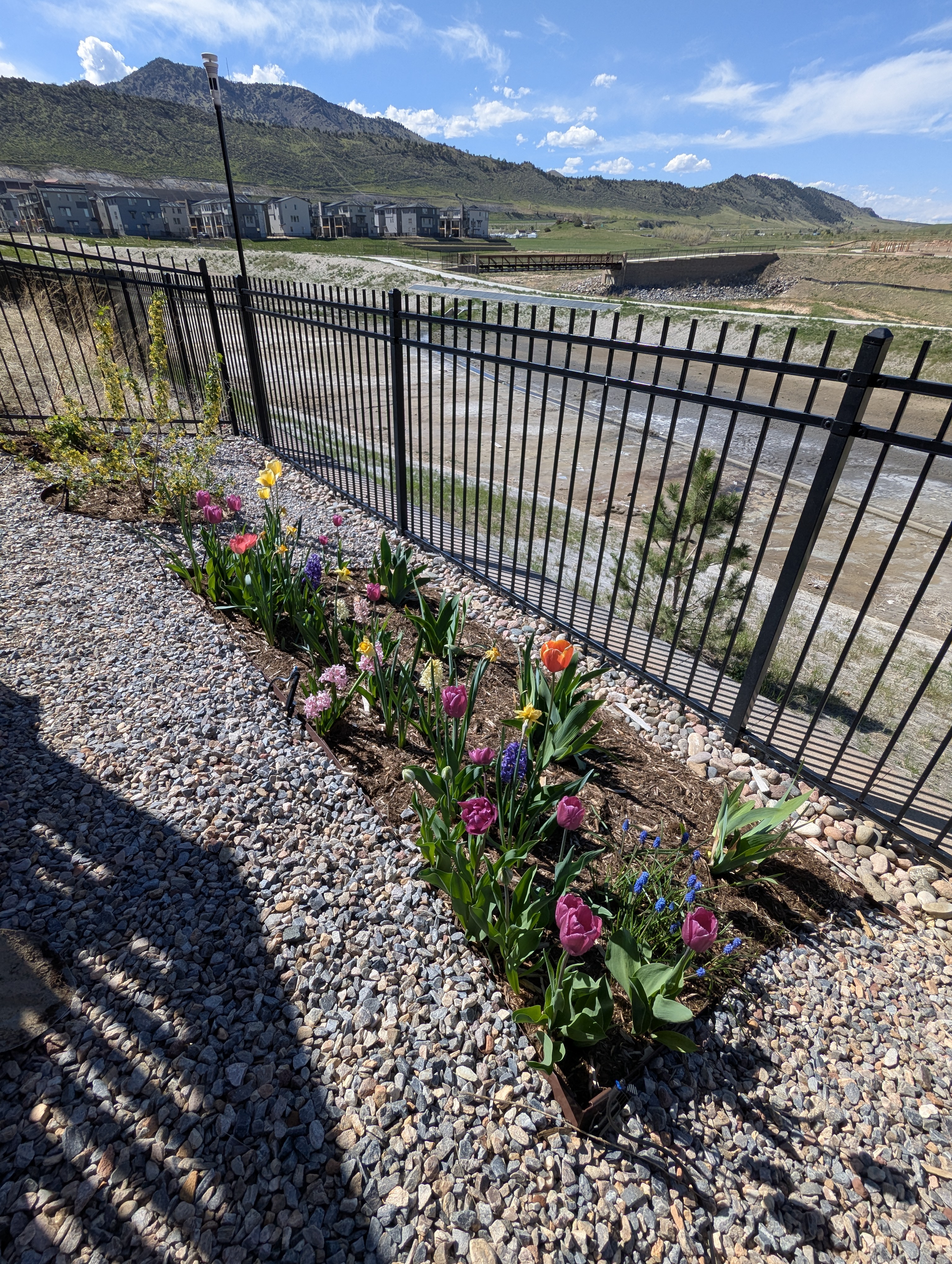 Garden, Flowers, Morrison, Colorado
